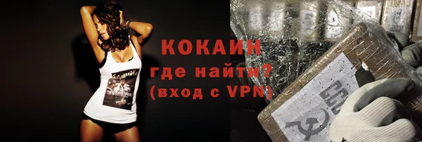 трава Новозыбков