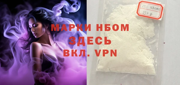 сатива Новокубанск
