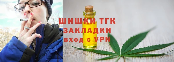 трава Новозыбков