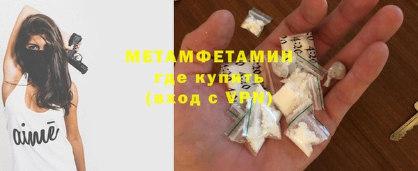 сатива Новокубанск