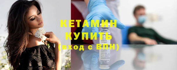 шишки Горняк
