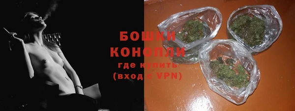трава Новозыбков