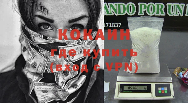 сатива Новокубанск