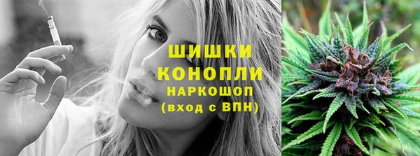 трава Новозыбков