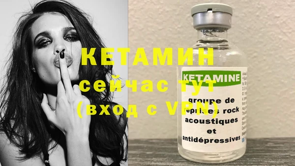 сатива Новокубанск