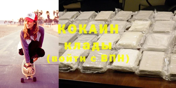 сатива Новокубанск