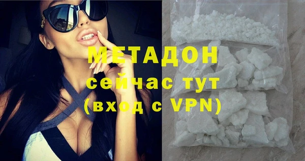 сатива Новокубанск