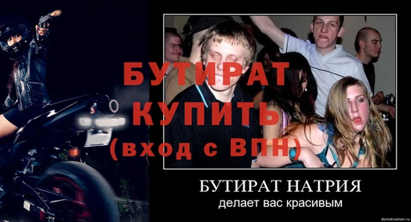 сатива Новокубанск