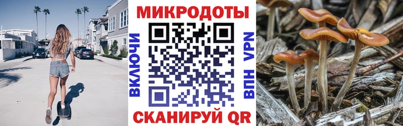гидра зеркало  хочу наркоту  Кубинка  Псилоцибиновые грибы Psilocybe 