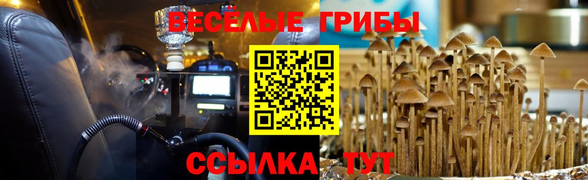 Псилоцибиновые грибы GOLDEN TEACHER  хочу   Кубинка  Вход с VPN  Галлюциногенные грибы Magic Shrooms 